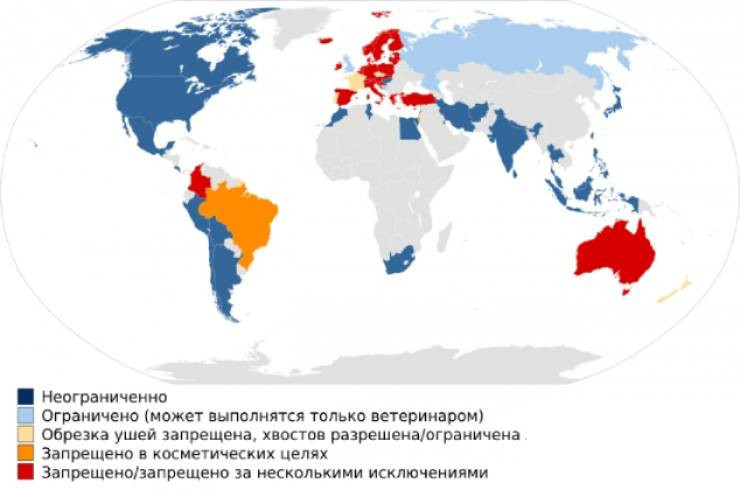 Запреты на купировку в мире (карта)