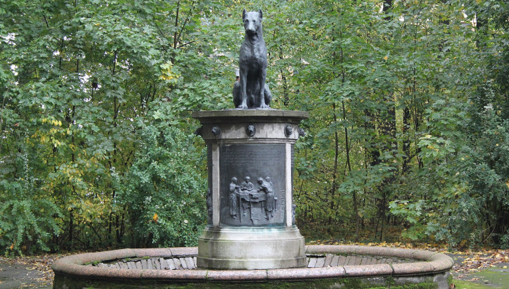 Памятник собеке Павлова