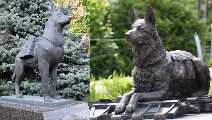 Памятникам фронтовым собакам