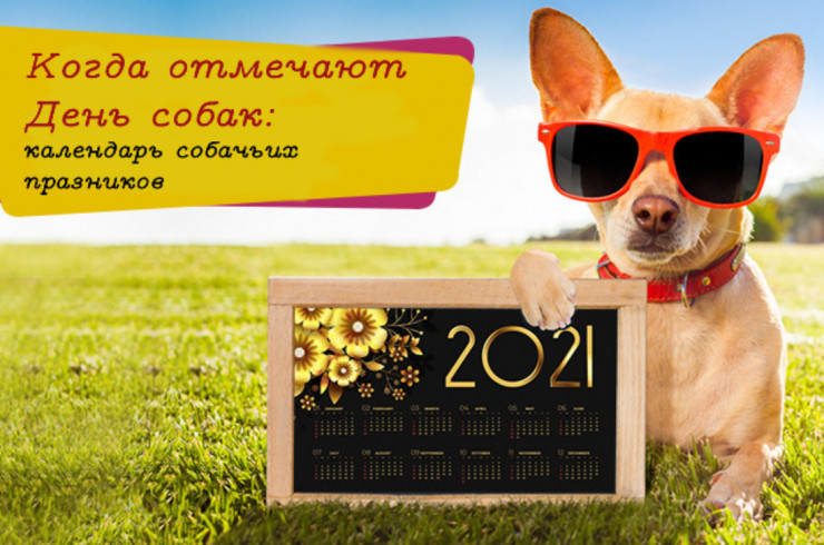 Когда отмечают День собак: календарь собачьих праздников